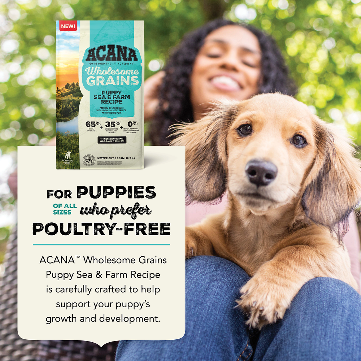 Photo inspiration: Fresh Look at Wholesome Grains Puppy Sea Farm Recipe