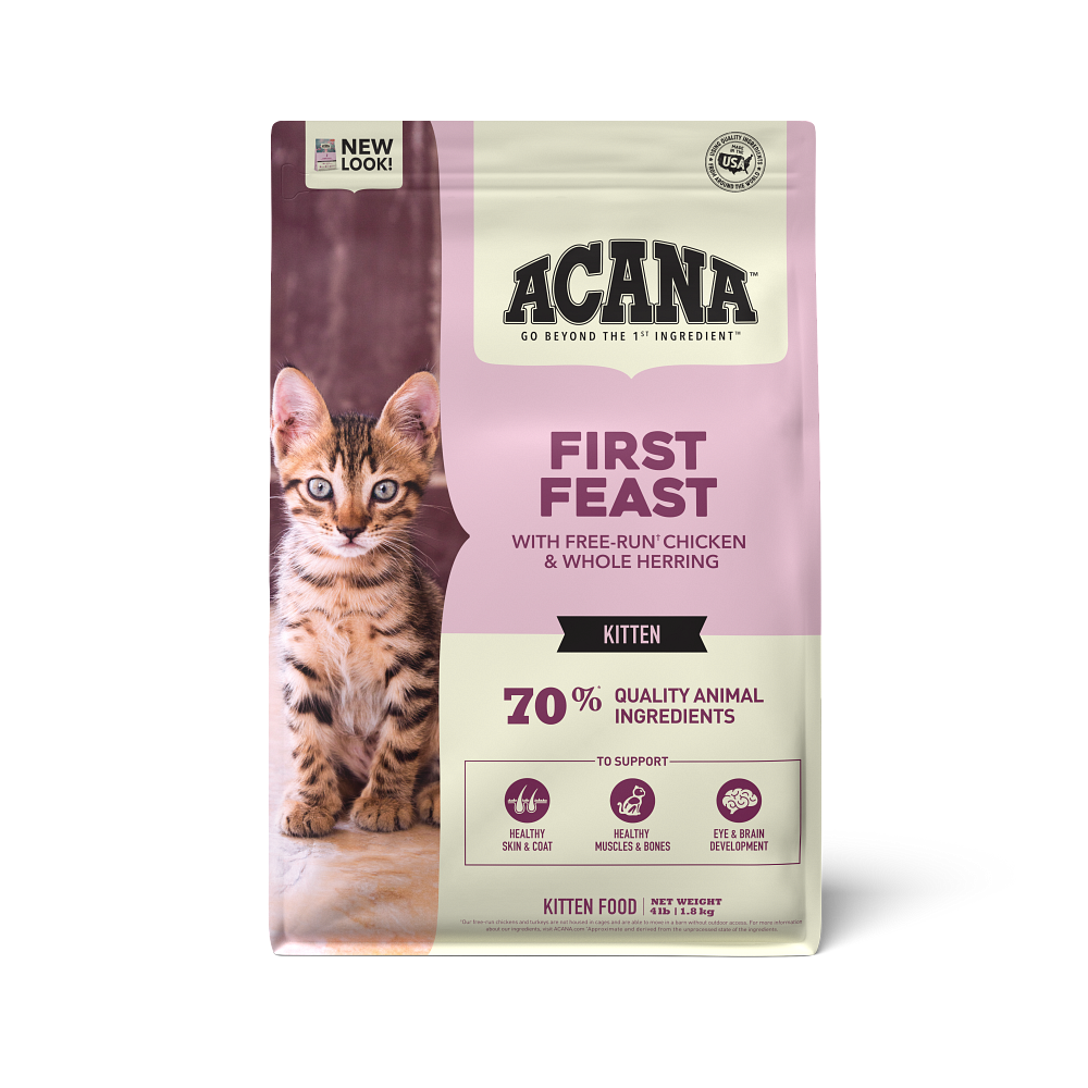 how much to feed 13 week old kitten