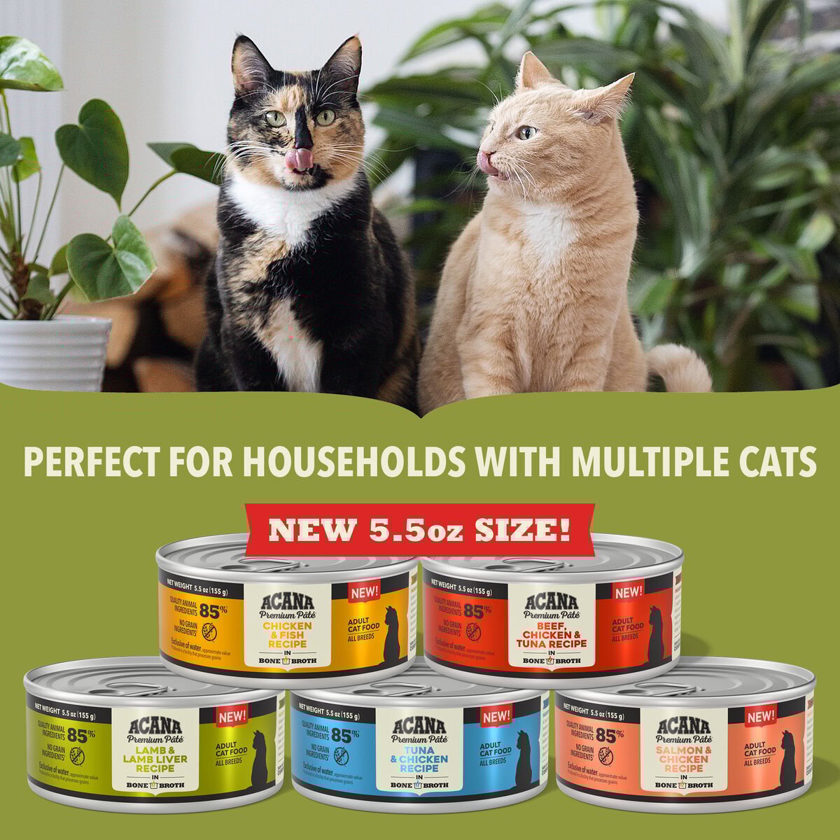 ACANA Premium Pâté Chicken & Fish Recipe Wet Cat Food