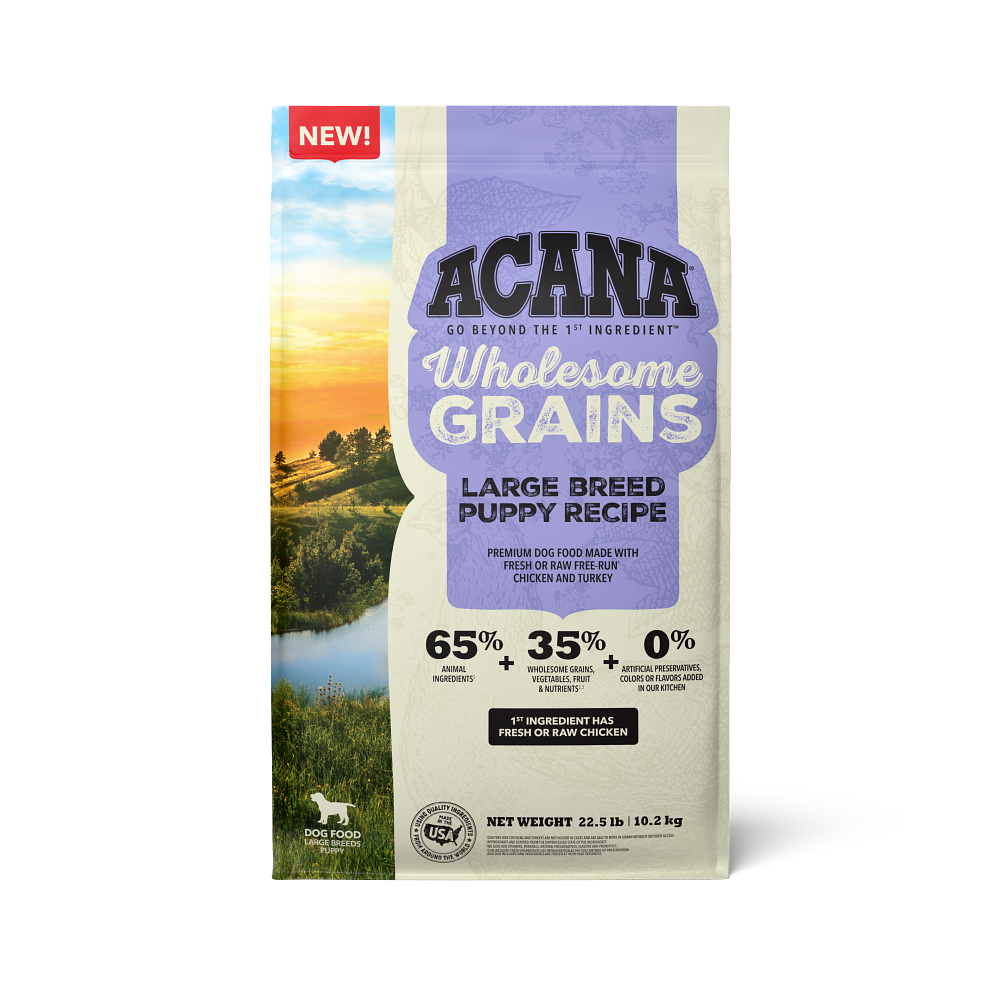 big breed dog food