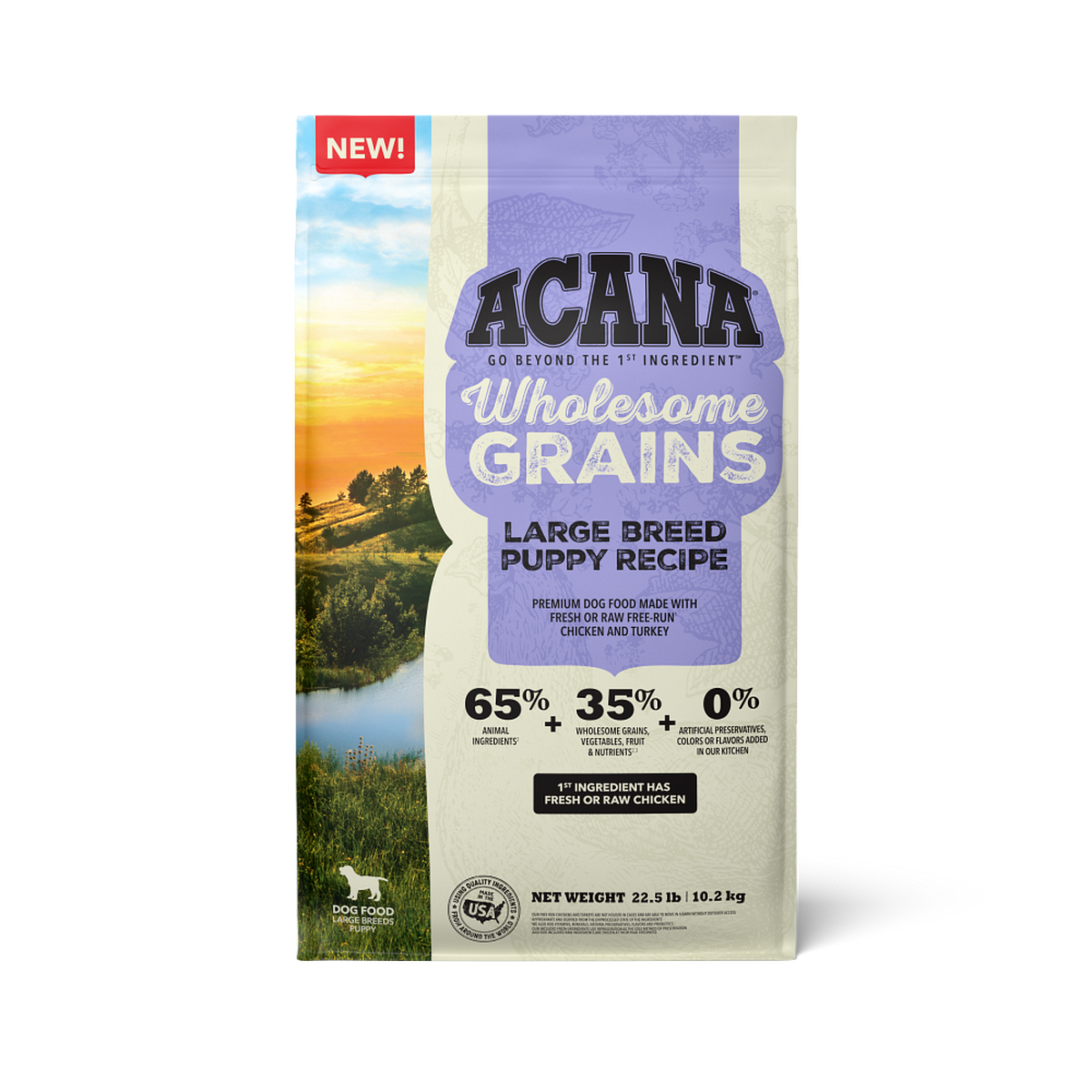 Wholesome Grains Large Breed Puppy Recipe Dry Dog Food