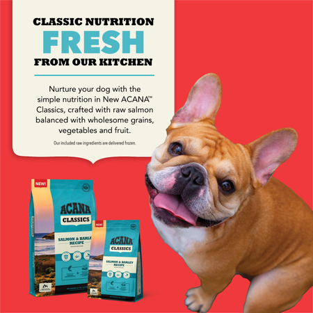Acana Dog Best Kibble For French Bulldogs Taste Of The Wild French