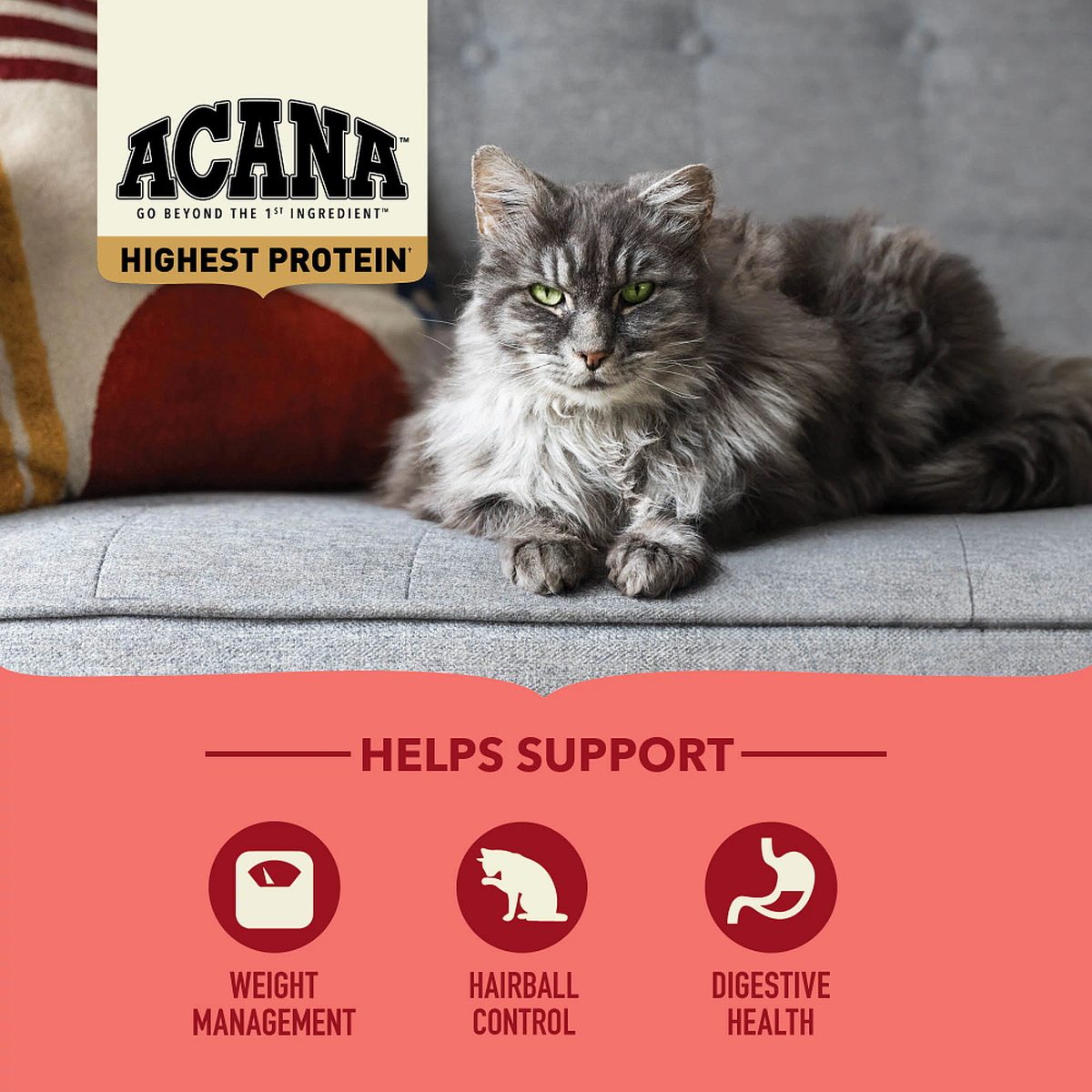 ACANA™ Highest Protein Indoor Food for Indoor Cats ACANA Canada