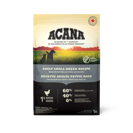 When to Start Dog on Adult Food Small Breed: Essential Timing Tips