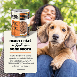 Premium Pt, Puppy Recipe in Bone Broth | Award-Winning Dog Food & Cat Food