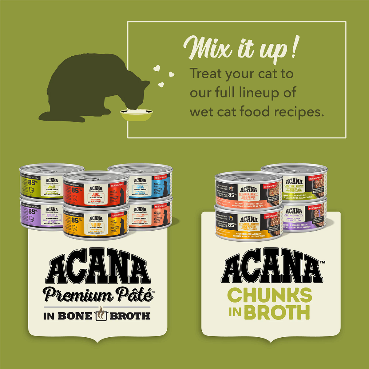 How to Feed a Cat That Only Wants Pâté