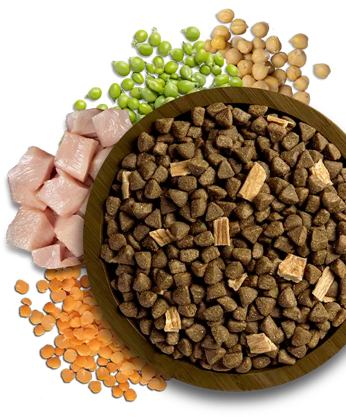 bowl-and-ingredients
