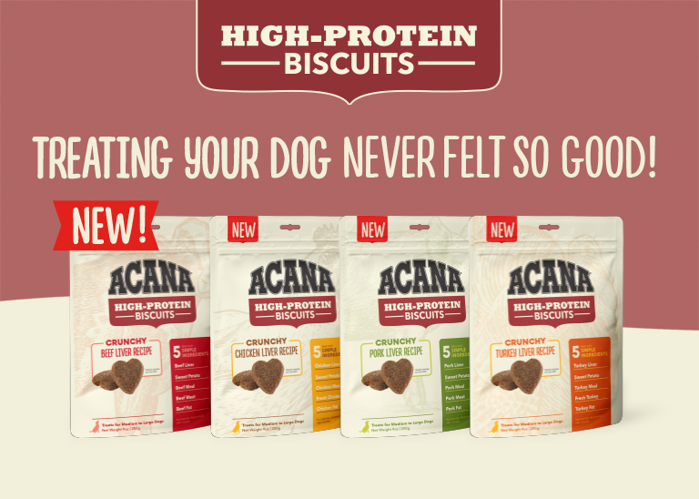 high protein biscuits