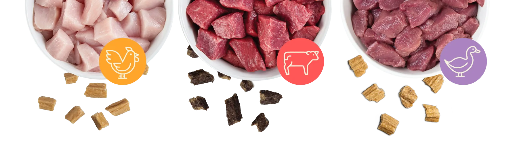 Bowls filled with raw sliced chicken, beef, and duck