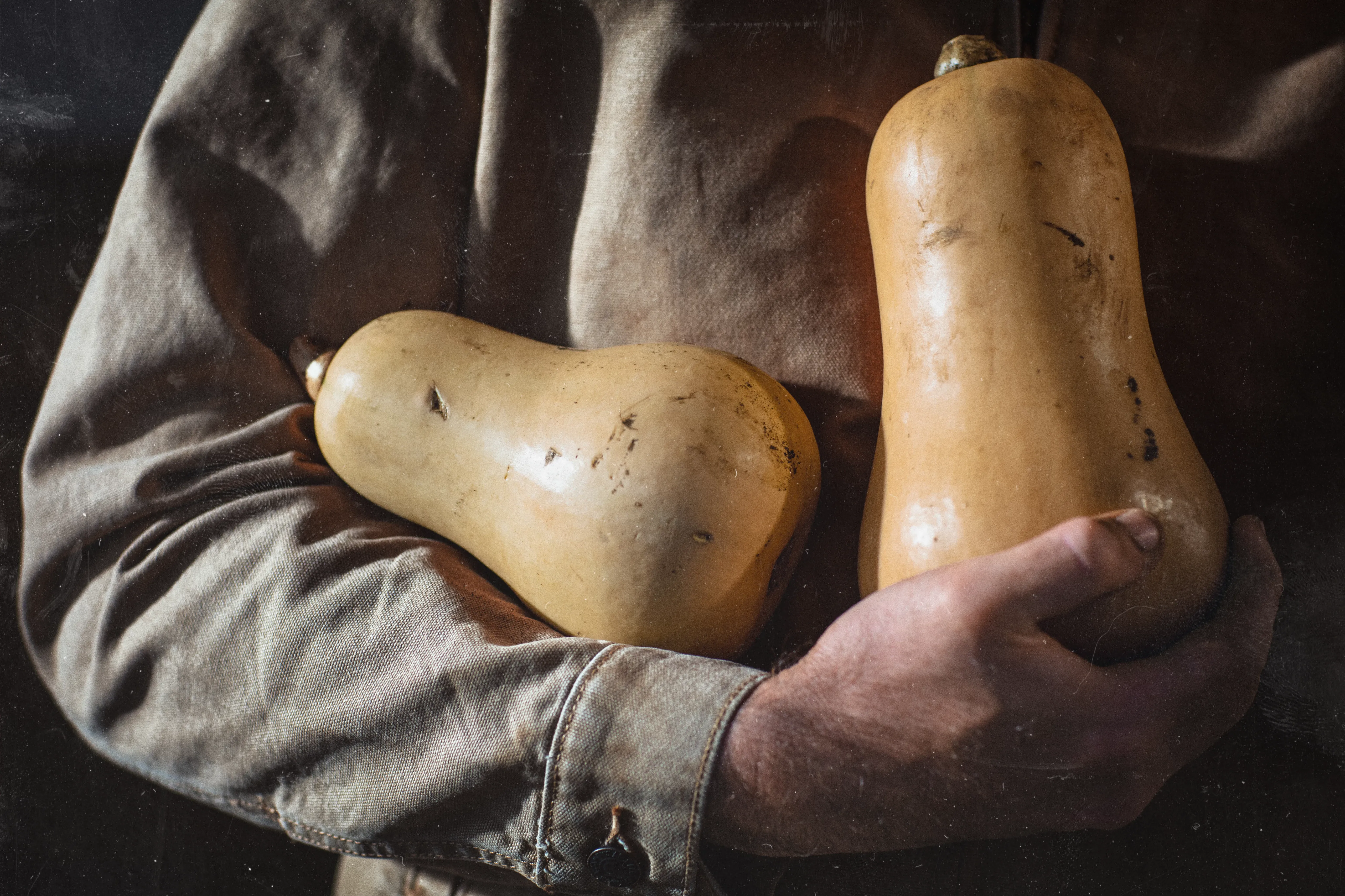 Pumpkin & Squash Benefits for Your Dog | ACANA&trade;