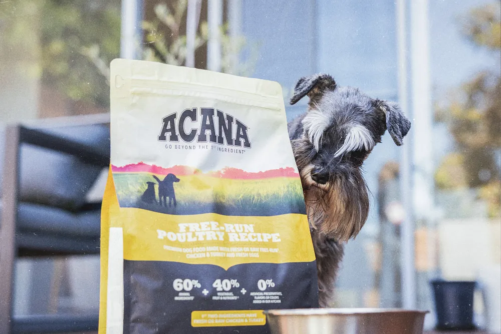 How to Read a Pet Food Label Like a Pro