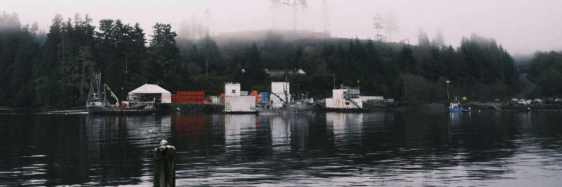 Foggy coastal harbor at dawn