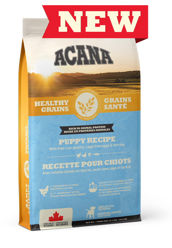 ACANA® Healthy Grains Quality Grain Inclusive Dog Food ACANA® CANADA