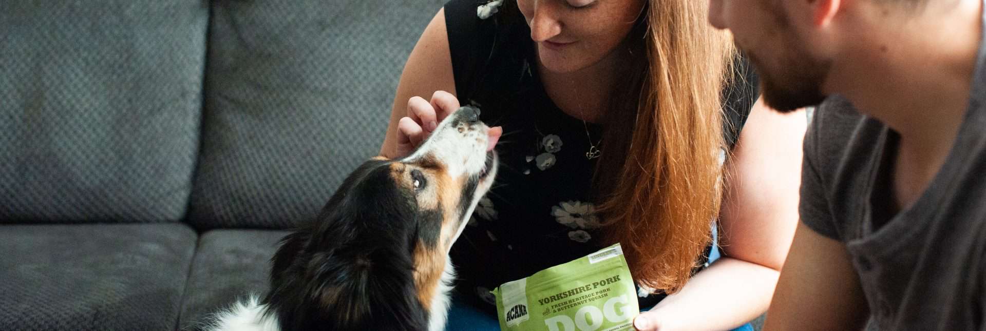How to Feed Large Breed Puppies and Why it&rsquo;s so important