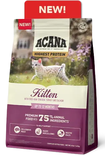 Kitten mobile bag