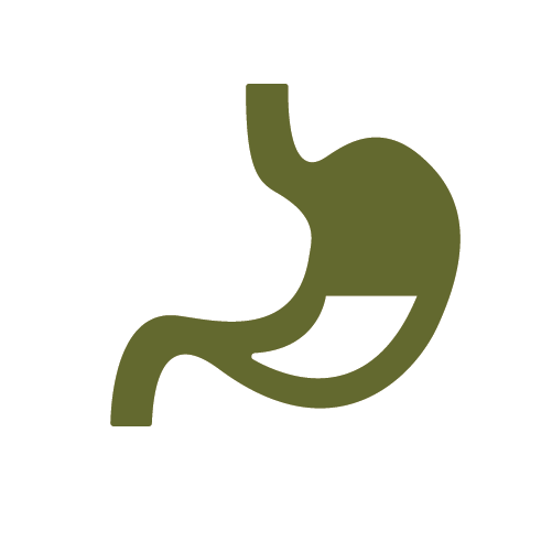 digestion-icon 