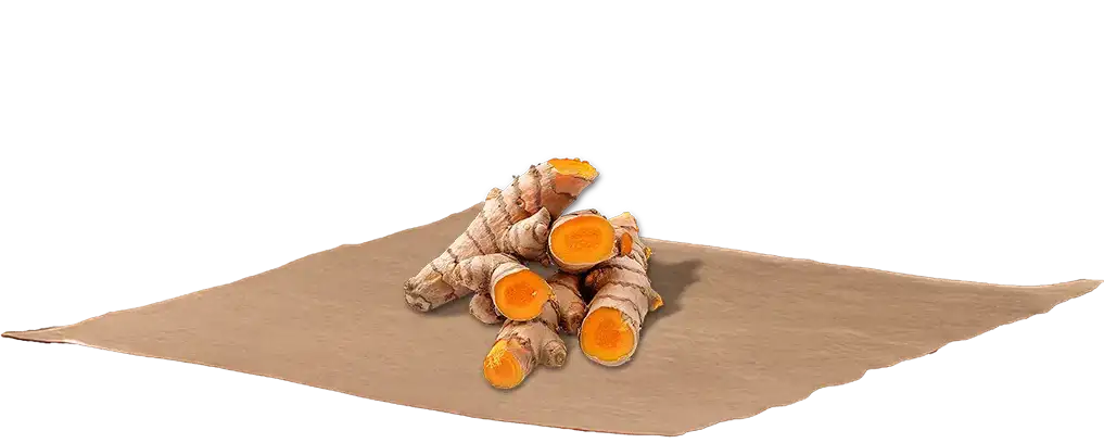 Golden turmeric root on paper