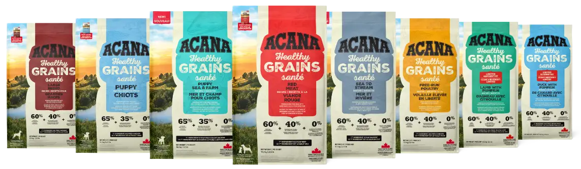healthy Grains Bag lineup