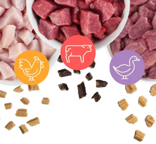 Bowls filled with raw sliced chicken, beef, and duck