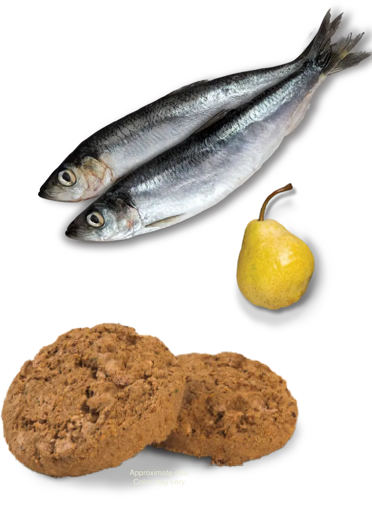 bowl-and-ingredients
