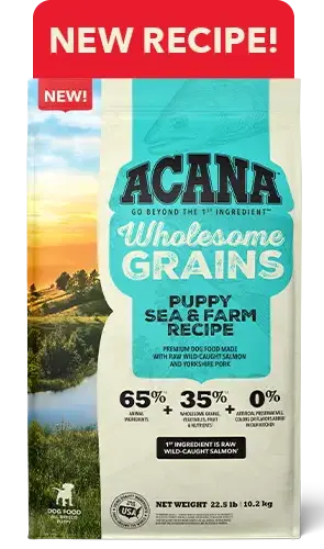 Acana Wholesome Grains bags