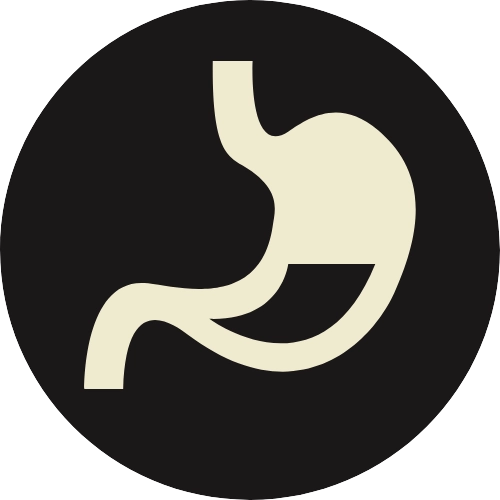 Digestive icon 