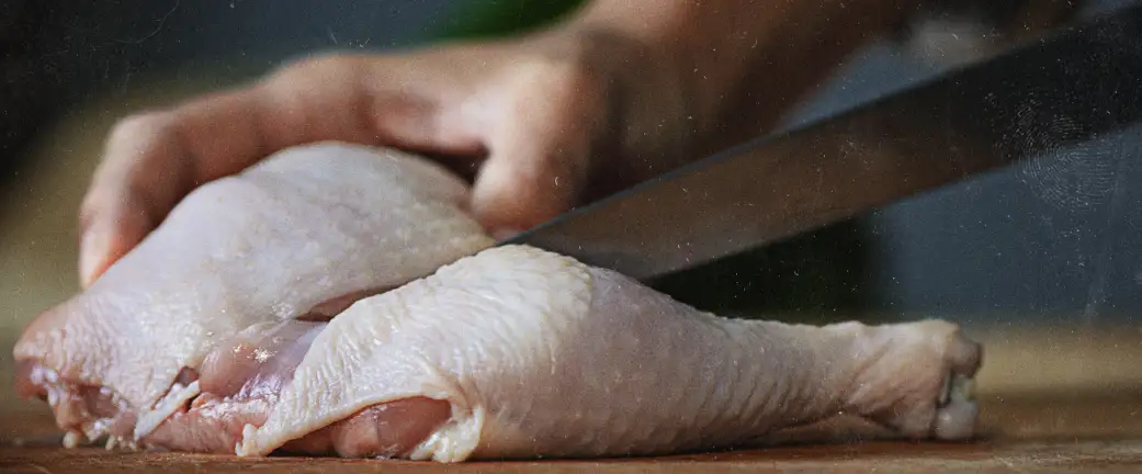 Cage free Chicken
