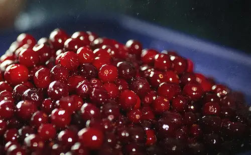 cranberries